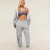 Gymshark Embroidered Logo Joggers - Gray