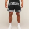 Varsity Mesh Shorts