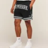 Varsity Mesh Shorts