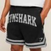 Varsity Mesh Shorts