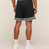 Varsity Mesh Shorts